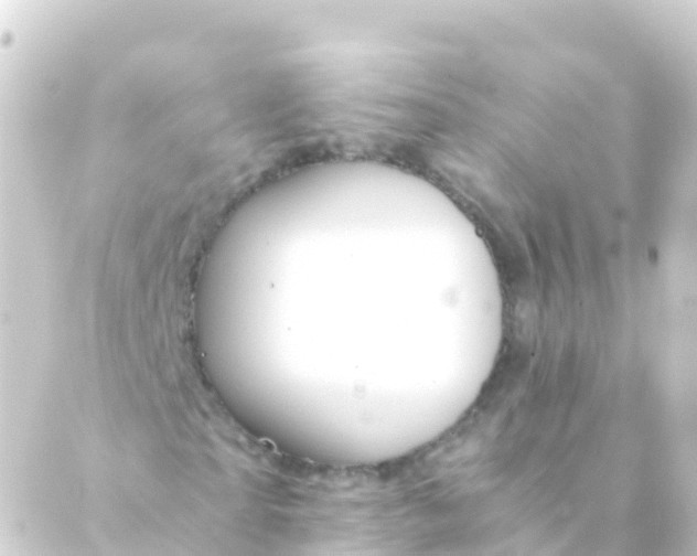 X0000088910865200706221927