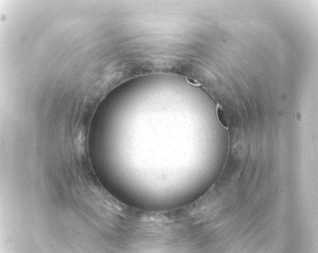 X0000088910866200706221927