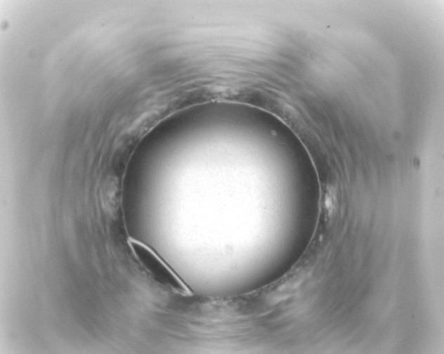 X0000088910867200706221927