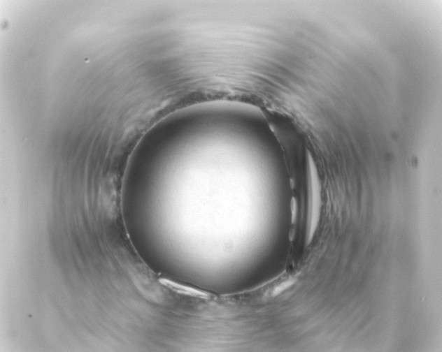 X0000088910868200706221927