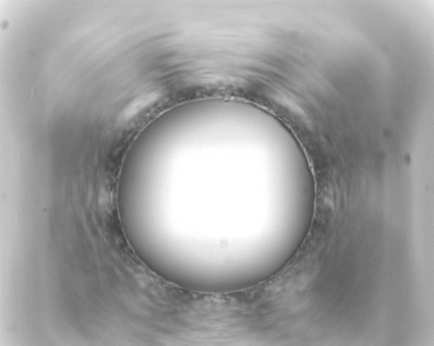 X0000088910869200706221927