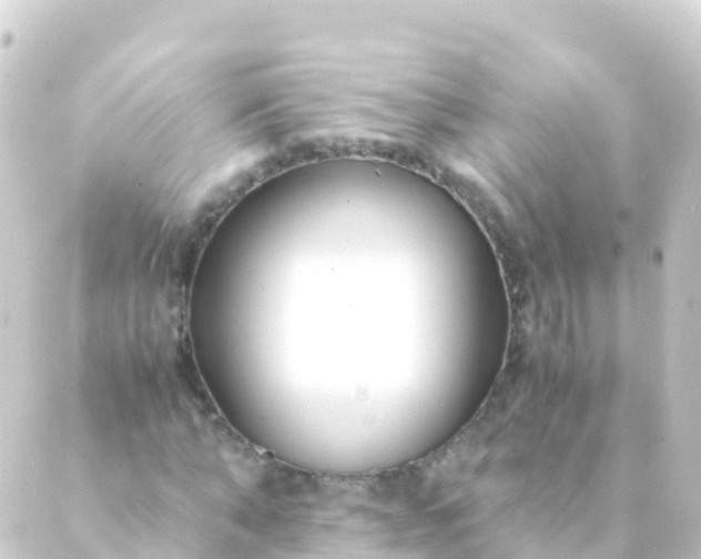 X0000088910870200706221927