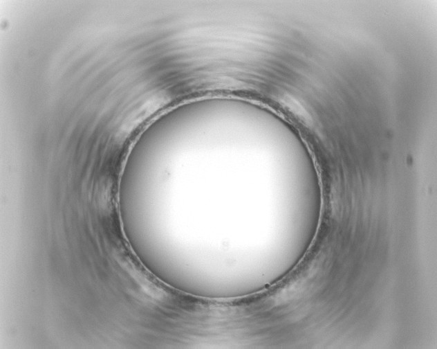 X0000088910873200706221927