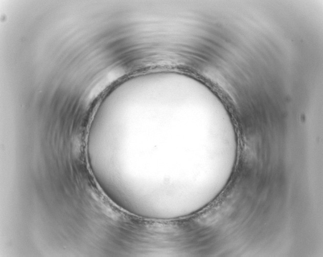 X0000088910874200706221927