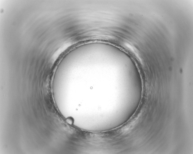 X0000088910875200706221927