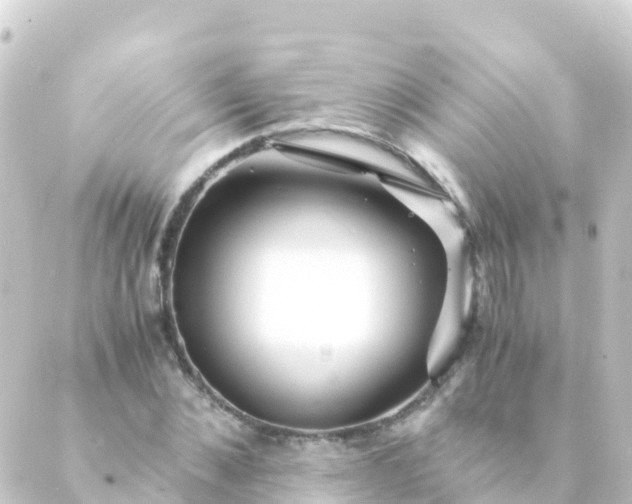 X0000088910876200706221927