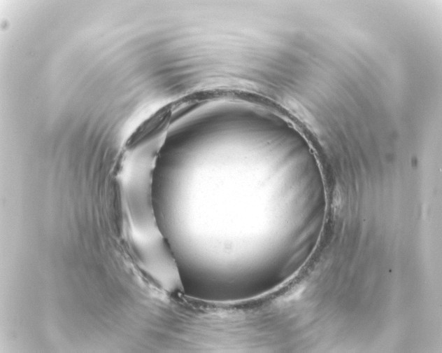 X0000088910877200706221927