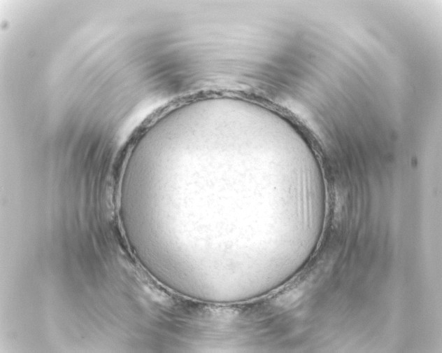 X0000088910878200706221927