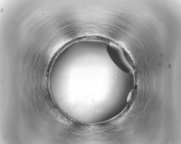 X0000088910879200706221927