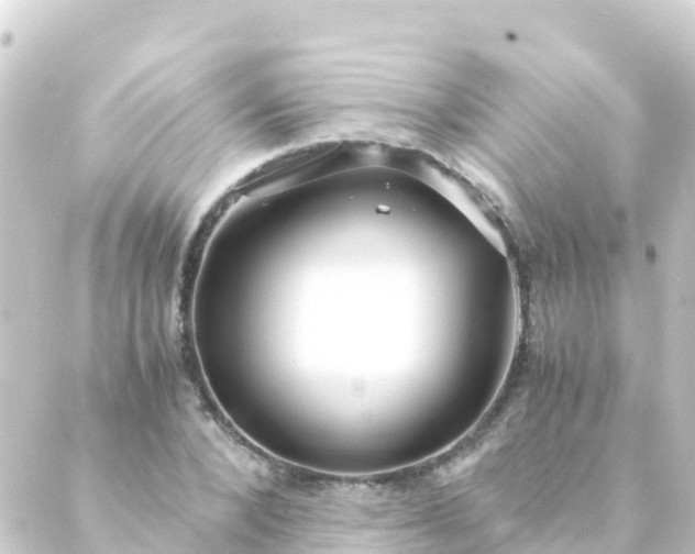 X0000088910880200706221927