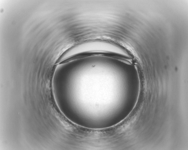 X0000088910881200706221927