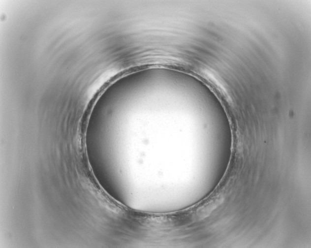 X0000088910883200706221927