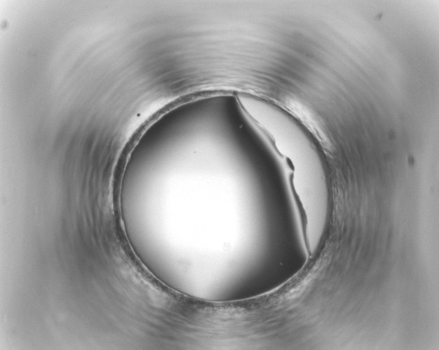 X0000088910884200706221927