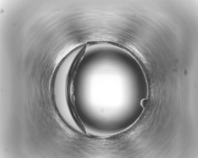 X0000088910885200706221927