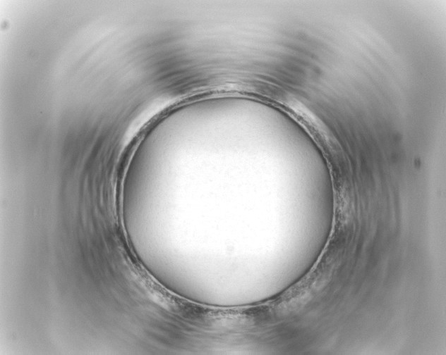 X0000088910886200706221927