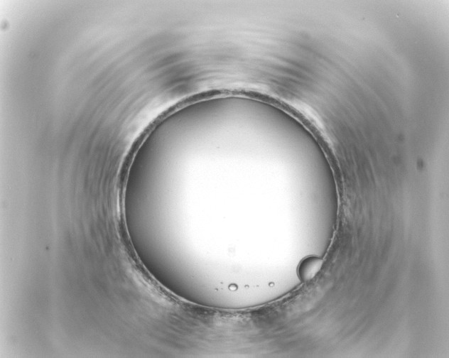 X0000088910887200706221927