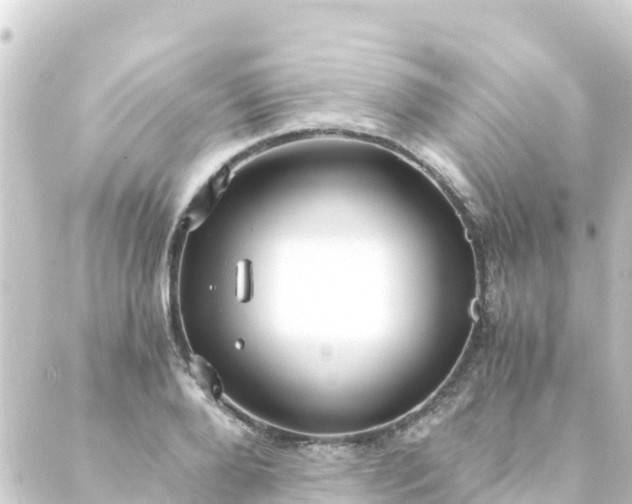 X0000088910888200706221927