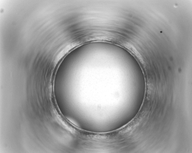 X0000088910890200706221927