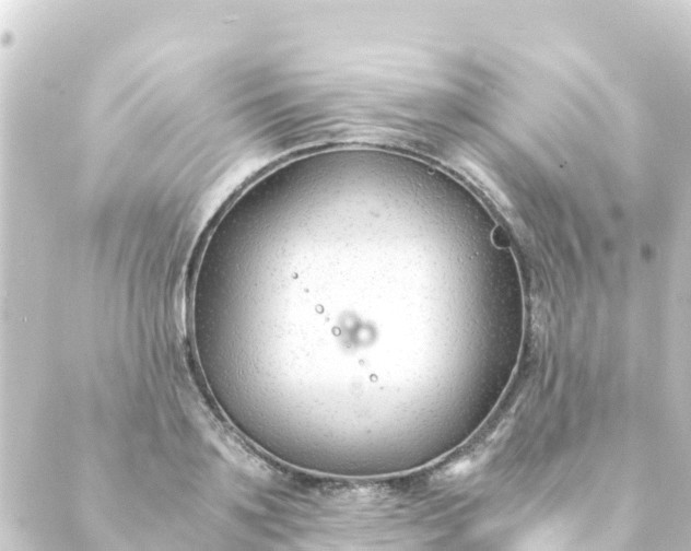 X0000088910891200706221927