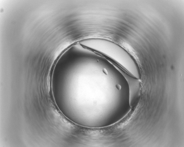 X0000088910892200706221926