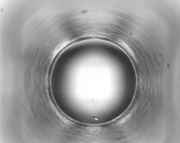 X0000088910893200706221926