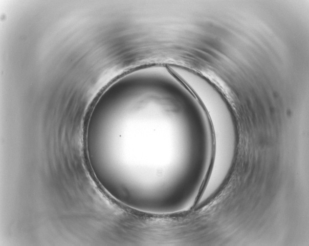 X0000088910894200706221926