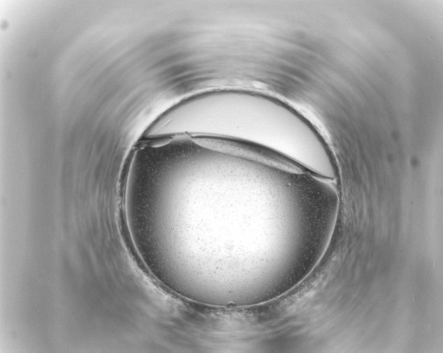 X0000088910895200706221926