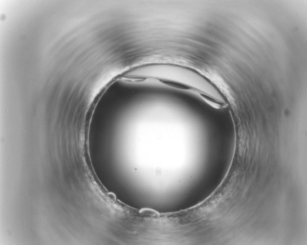 X0000088910896200706221926