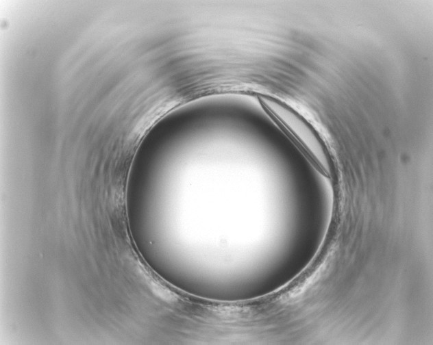 X0000088910897200706221926