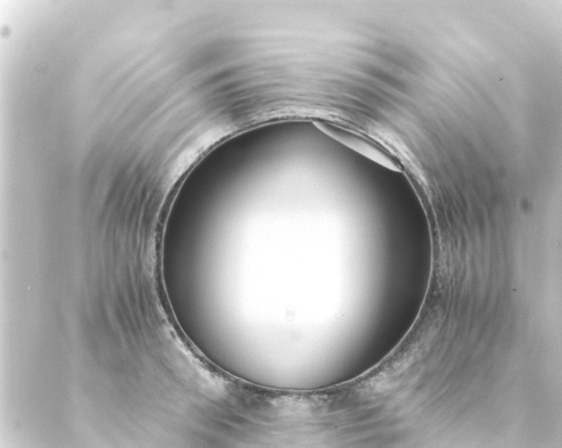 X0000088910898200706221926