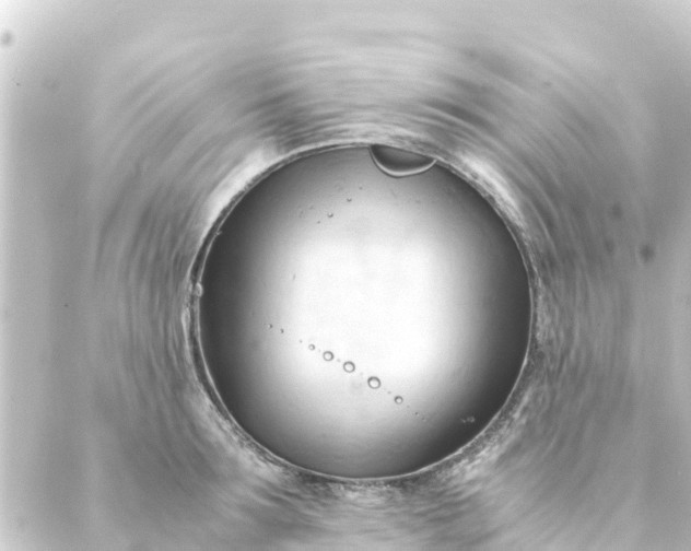 X0000088910899200706221926