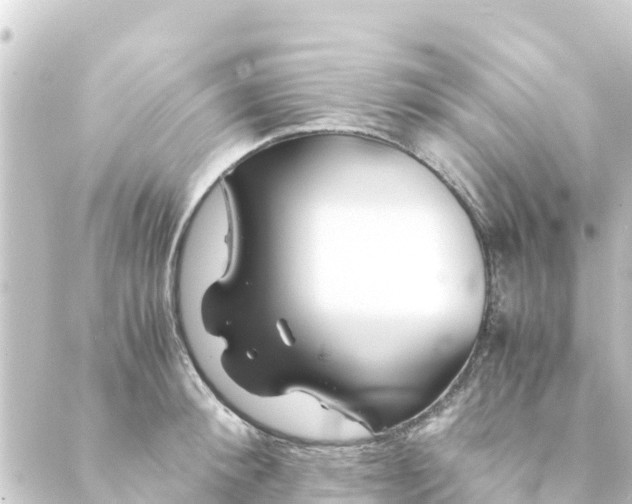 X0000088910900200706221926