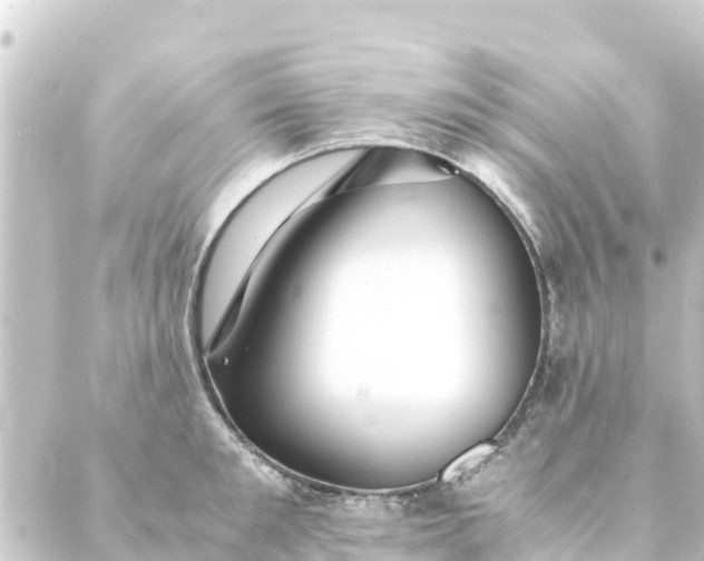 X0000088910901200706221926