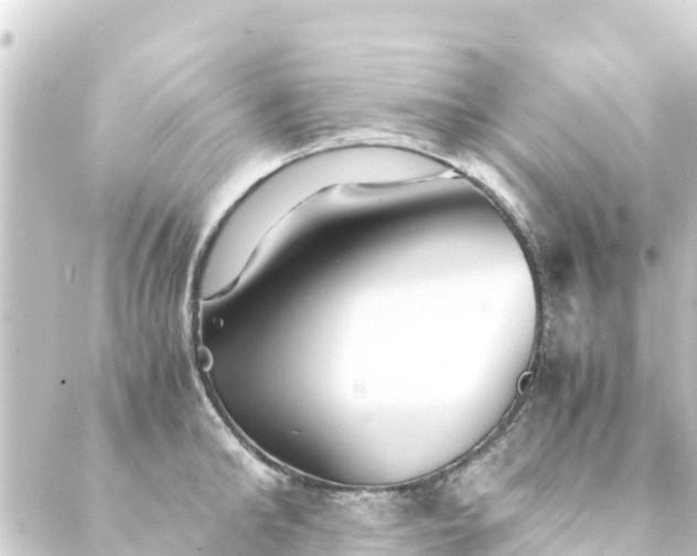 X0000088910902200706221926