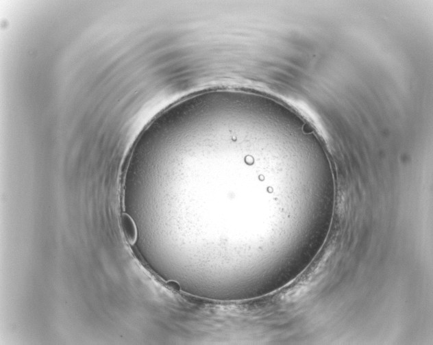 X0000088910903200706221926