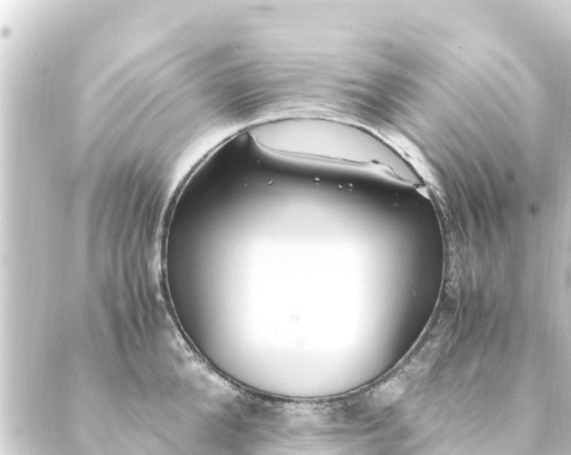 X0000088910904200706221926