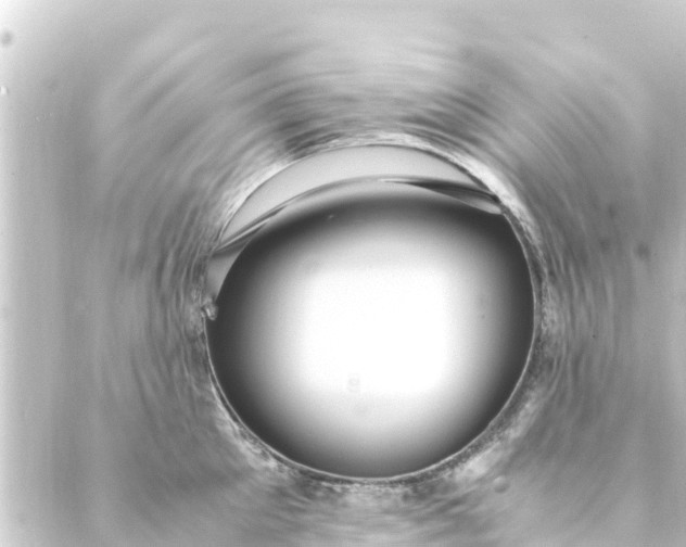 X0000088910905200706221926