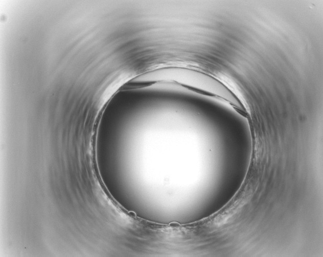 X0000088910906200706221926