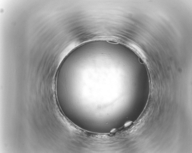 X0000088910907200706221926