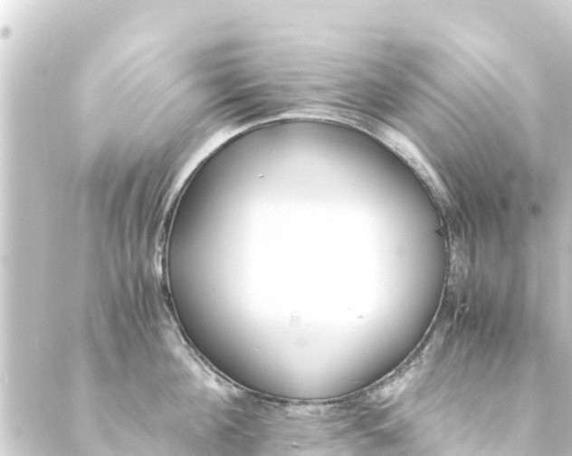 X0000088910908200706221926