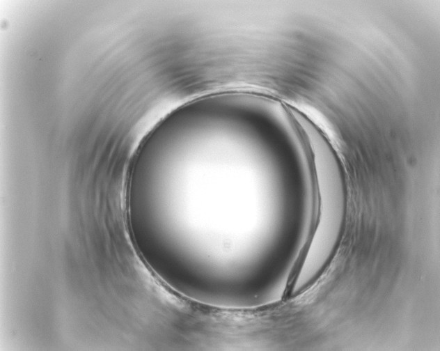 X0000088910910200706221926