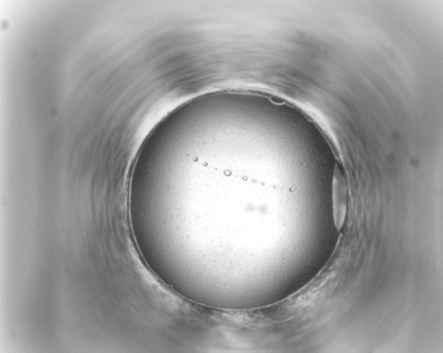 X0000088910911200706221926