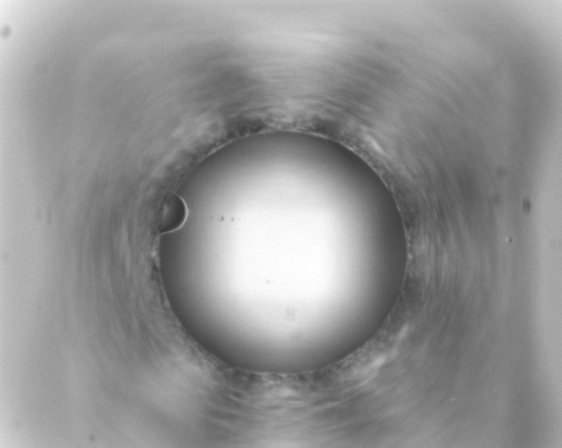 X0000088910913200706221925