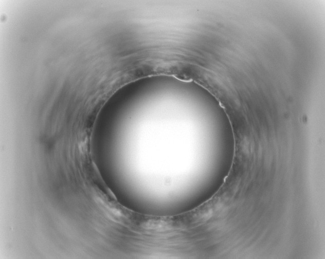 X0000088910914200706221925