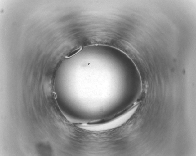 X0000088910915200706221925