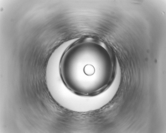 X0000088910916200706221925