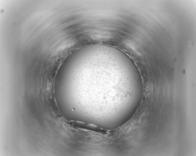 X0000088910917200706221925