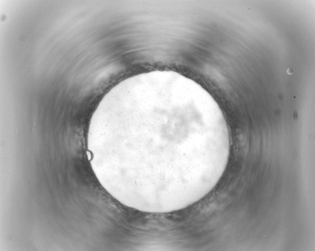 X0000088910918200706221925