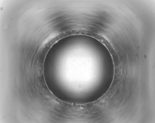 X0000088910919200706221925