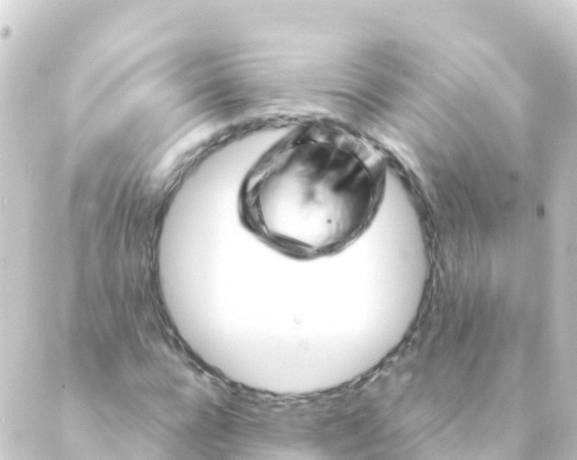 X0000088910920200706221926